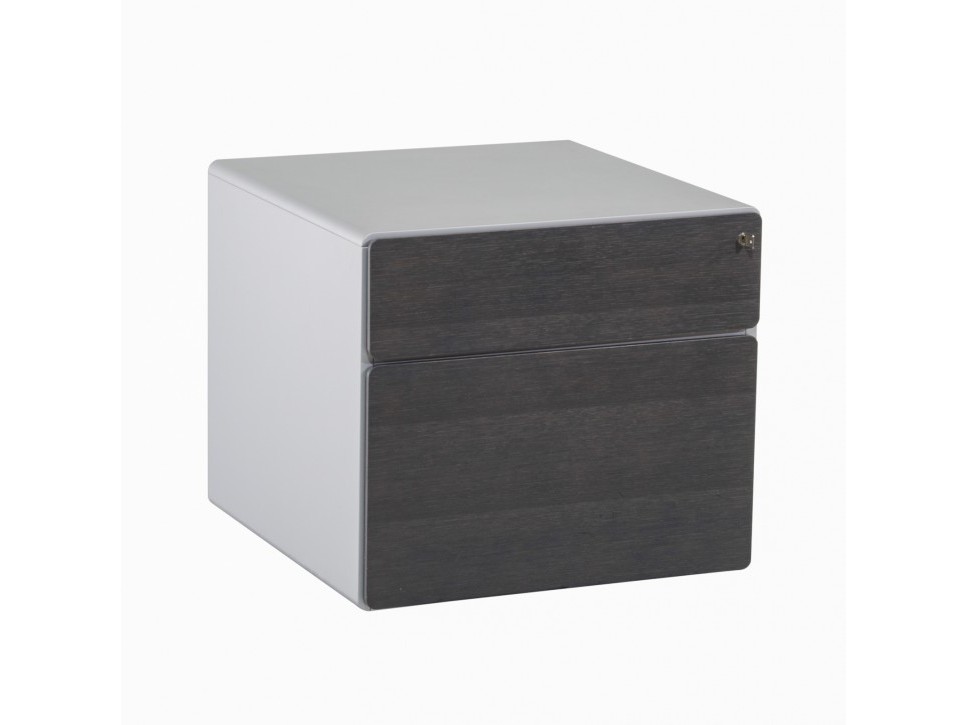 Renz STAR R 63 Container Titangrau Echtholzfurnier