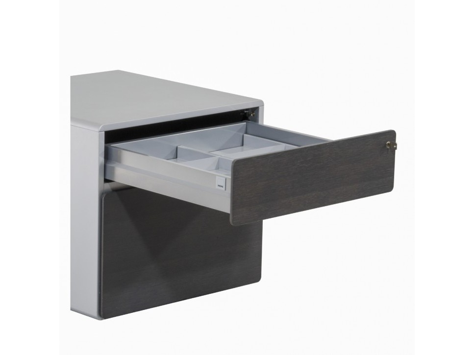 Renz STAR R 63 Container Titangrau Echtholzfurnier – Bild 2