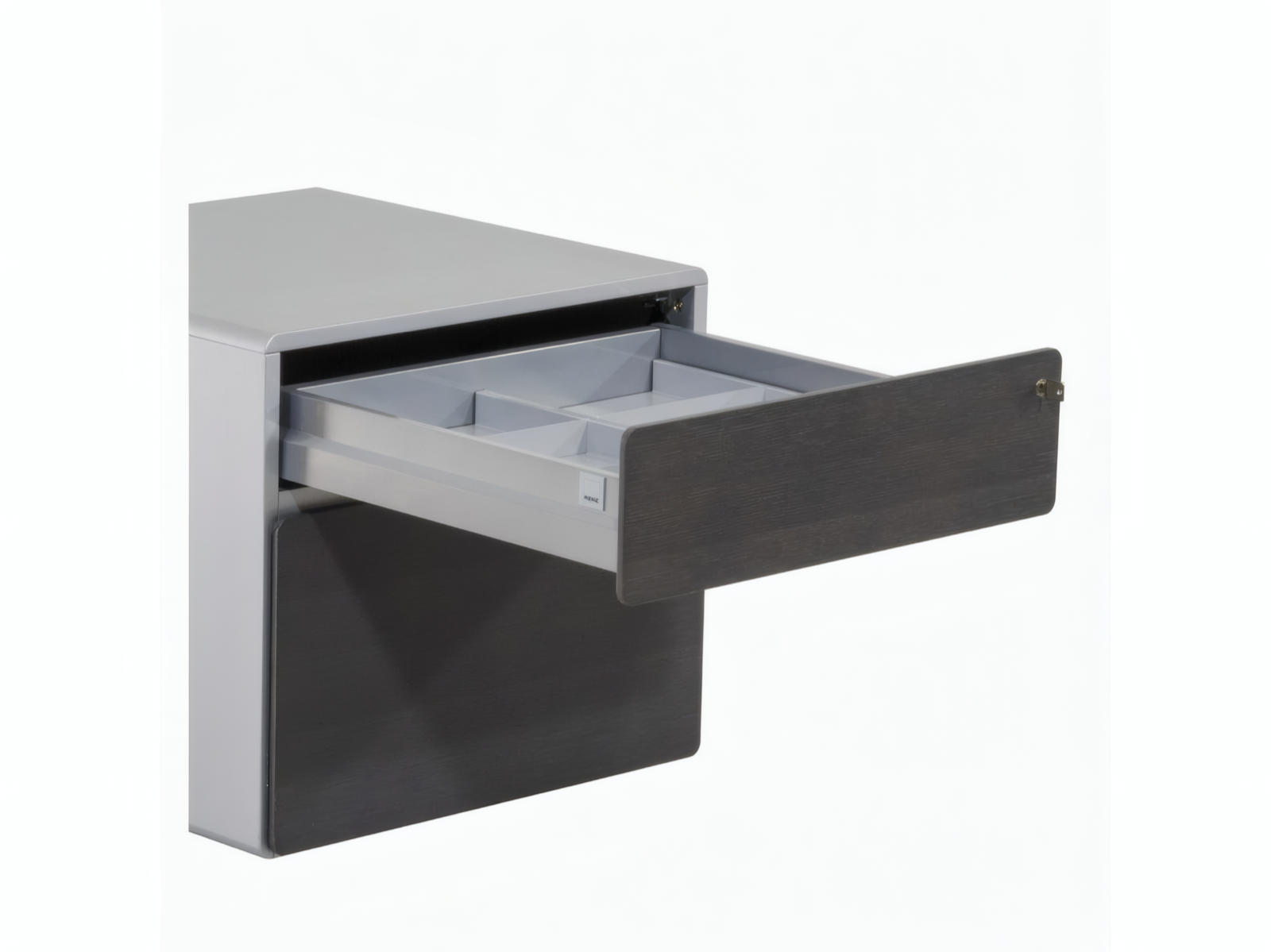 Renz STAR R 63 Container Titangrau Echtholzfurnier – Bild 2